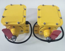 防撕裂开关ZL2-B-II-1000-35°纵向撕裂开关 防撕裂开关ZL2-B-II-1000-35°纵向撕裂开关